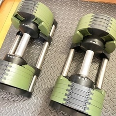 【限定色】新型フレックスベル20kg×2 [2kg刻み]