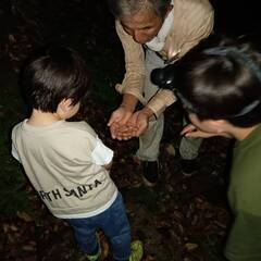 感動！荒尾市の里山でホタルが出ています。夜7時40分、集合！