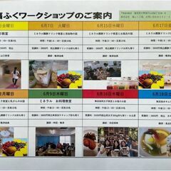 ミネラル醗酵ドリンク教室