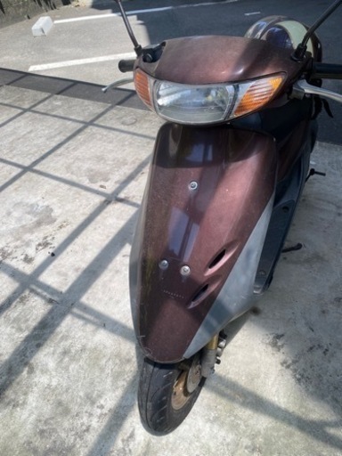 50cc 原付　5月税金納税済