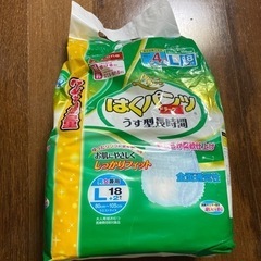 はくパンツ　エムズワン　11枚