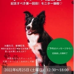 都内近郊撮影7/30 ペットモデル募集