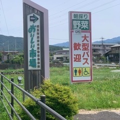 6月7日火曜日 メダカ販売します！ おいしい市場様