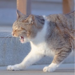 カメラ仲間募集！！ − 愛知県