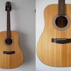 ARIA AD-211 N エレアコ