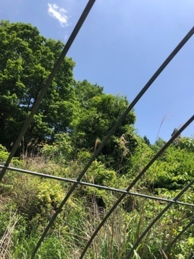 ハウスパイプ（中古）バラ売りできます^ ^
