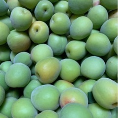 南高梅　1kg 本年最終