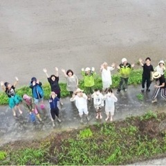 自然栽培の田んぼで田植え体験 - その他