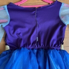 アナ雪　衣装　ディズニー　仮装　ハロウィンの画像