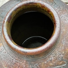 古酒用　酒壺（空壺）の画像
