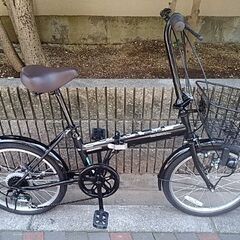 🚴カジュリー20インチ