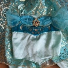 ジャスミン　衣装　コスプレ　100の画像