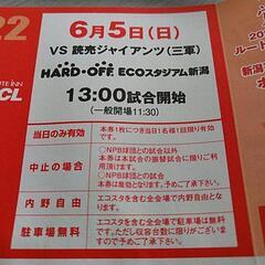 ６月５日（日）新潟アルビレックス、ベースボール試合の画像