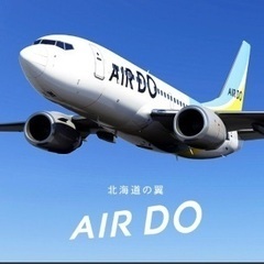 AIR DO エアドゥ 航空券 8月31日まで（相談可能） 片道...