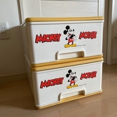 縦43cm 高さ42cm 横40cm 衣装ケースの画像