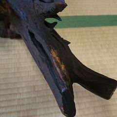 花台　根カブの画像