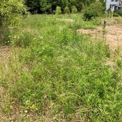 空き地、耕作放棄地、年間管理、草刈　安く