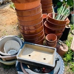 【残り僅か】植木鉢★大中小各種の画像