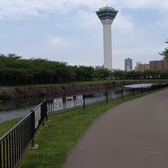 朝活ウォーキングしましょー❇