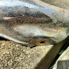 gt380テール一式　バブの画像