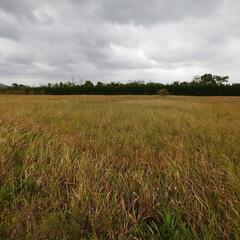 草刈り作業員大募集‼️高収入‼️の画像