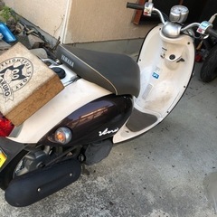 ビーノ　黄色登録の画像