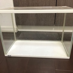 【お話し中】水槽