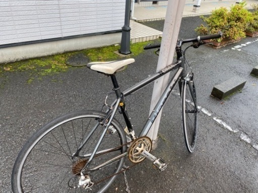 ビアンキ ローマ