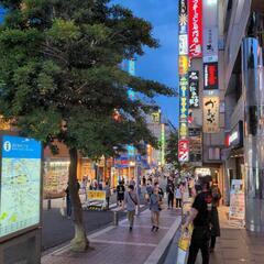 横浜エリア【格安で証拠集め】ゴリラ探偵事務所.関内駅.日の出町駅...