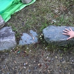 【無料にします】大きい石いりませんか？