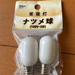 点灯管とナツメ球の画像