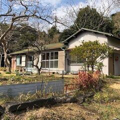 🉐礼金なし🉐家賃お手頃！テラスハウス(46㎡)、家賃5万円、ペッ...