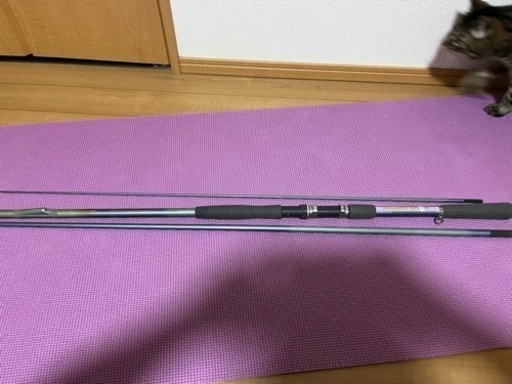 スズミ　海用スピニングロッド