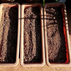 【お取引中】プランターと栽培用土セット4