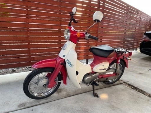 リトルカブ50