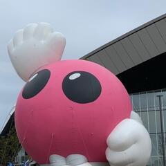 バレーボールメンバー募集しています(^-^)