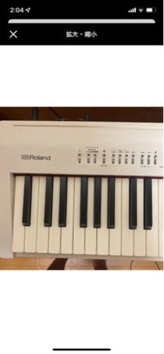 ローランドFP30
