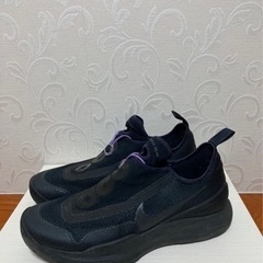 NIKE ACG ZOOM AIR AO 29㎝