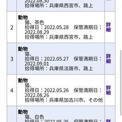 【兵庫県】【猫】迷子の猫が 保護されています