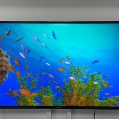 パナソニック　49型　デジタルハイビジョン液晶テレビ　TH-49EX750