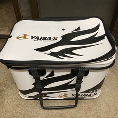 ヤイババッカン40㌢の画像