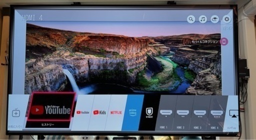 LG55CXPJA 有機ELテレビ 55インチ