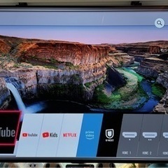 LG55CXPJA 有機ELテレビ 55インチ