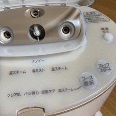 Panasonic EH-SA91-N イオンスチーマーの画像