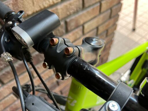 BRIDGESTONE TB1e 2020年 電動アシスト自転車