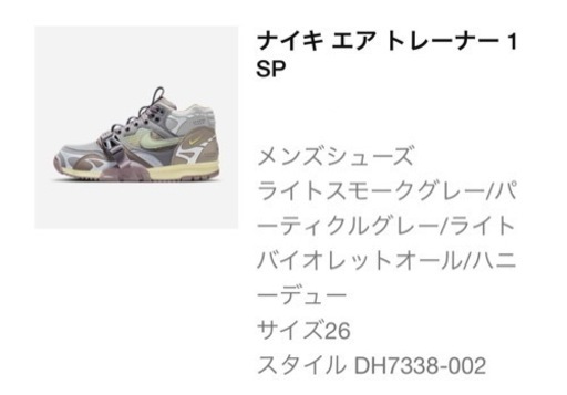 ナイキ　エアトレーナー１