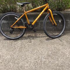 MARIN MUIRWOODS　ジャンク❗