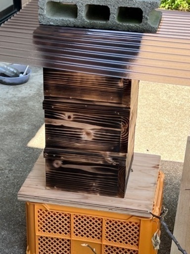 日本蜜蜂 分蜂群 重箱式4段つき