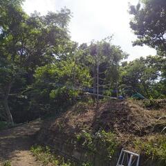 安佐北可部町勝木の山の中で⤴️綺麗な遊び場作り✨ - 友達