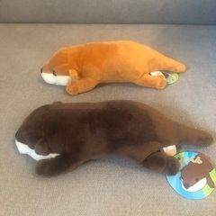 ぬいぐるみ　かわうその画像